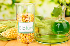 Longview biofuel availability
